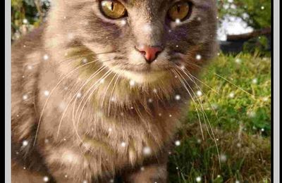 Bonne année à tous