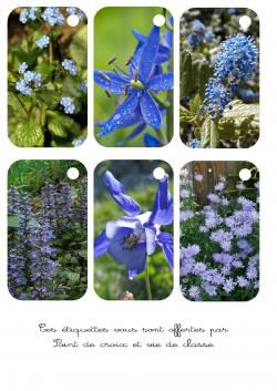 Cartonnettes fleurs à imprimer