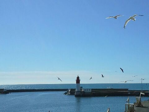 Retour de pêche au Guilvinec