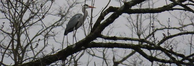 à Argeles Gazost en Mars 2021