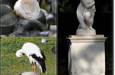 Saison 2020 au Parc de Clères (76) 