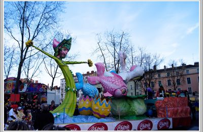 Carnaval de Chalon sur Saône (4)