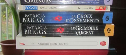 Bilan du mois de Janvier