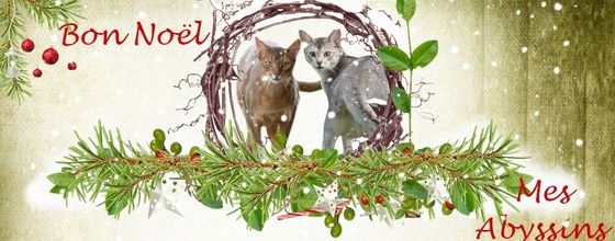 Bon Noël !!