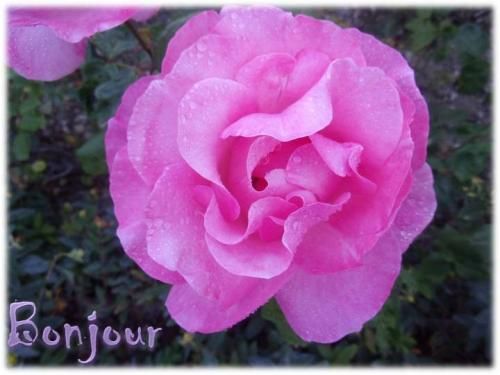 Créativité du dimanche 