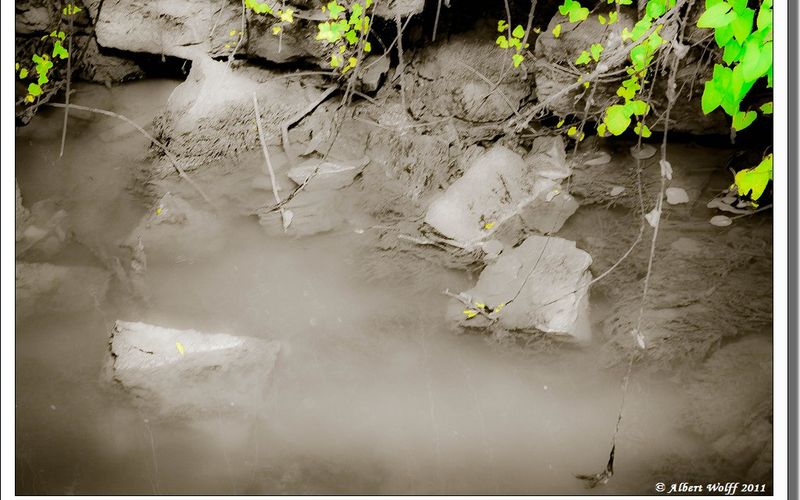 L'eau et la couleur