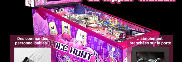 Le Flipper Inclusif : premier flipper de série jouable par contacteurs adapté par la société française Hexa Pinball