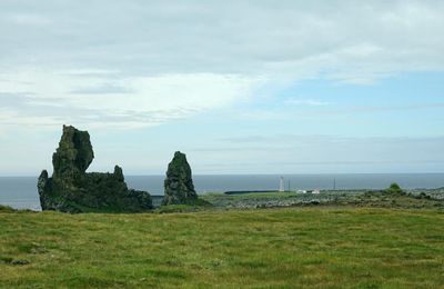 Islande - Les falaises de Þúfubjarg