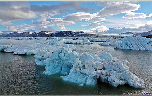 Le navire termine sa traversée de la zone d'icebergs du Negribreen, puis nous passerons la nuit (mais il fait jour 24h/24 !) à l'abri de la baie Mohnbukta - Spitzberg - Svalbard - Norvège