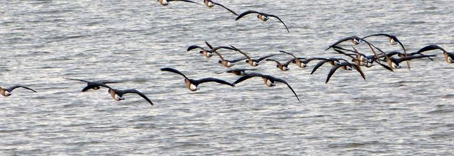 En passant par... Port-des-Barques