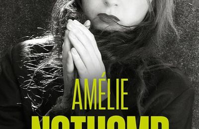 Cosmétique de l'ennemi - Amélie Nothomb