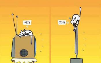 Le chat ennemi du système