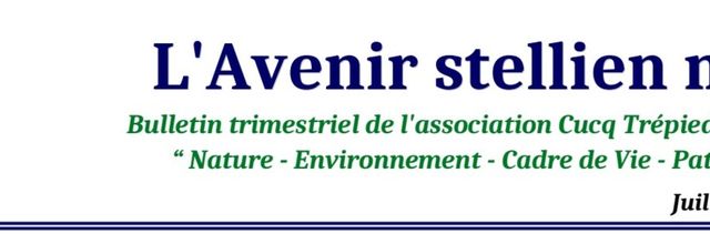 L'Avenir Stellien n° 96 - Spécial "AGO de CTS 2020 - Halte à la bétonnisation !"