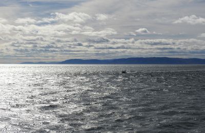 Croisière d'observation des baleines dans la baie de Tadoussac au Canada...
