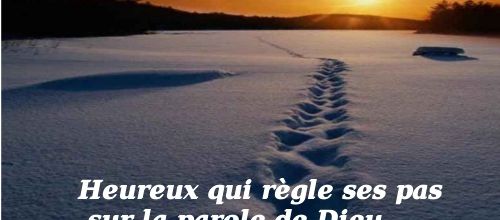 Homélie du 15ème dimanche ordinaire -10 juillet 2016