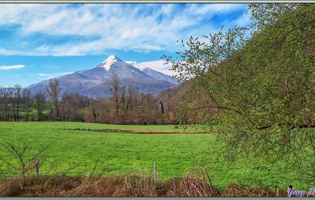 Le Cagire enneigé (1911 m) ce matin 27/03/2020, vu de la route entre Aspet et Milhas - 31