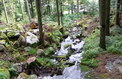 RANDONNEE CASCADE DE MERELLE ET DE CHANONY (Vosges - 88)
