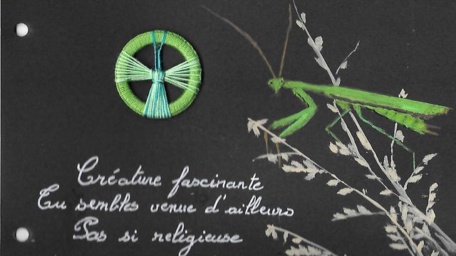 Bouton Dorset : Août en vert
