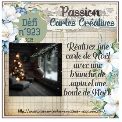 Les cartes PCC de Décembre 