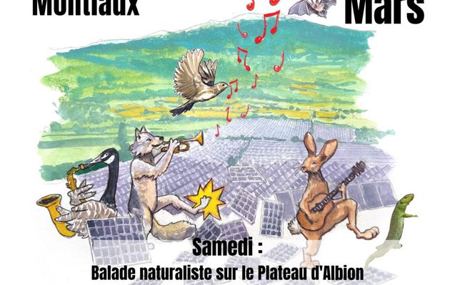 [elzeard] Balade naturaliste, Concert, Hébergements : Remballez vos panneaux ! 15-16 mars