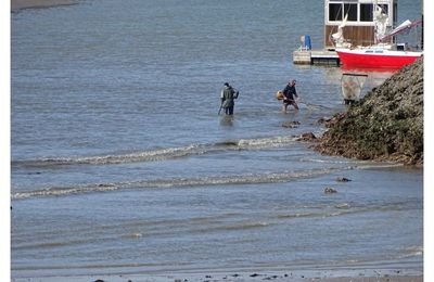 Pornic, les pêcheurs de crevettes