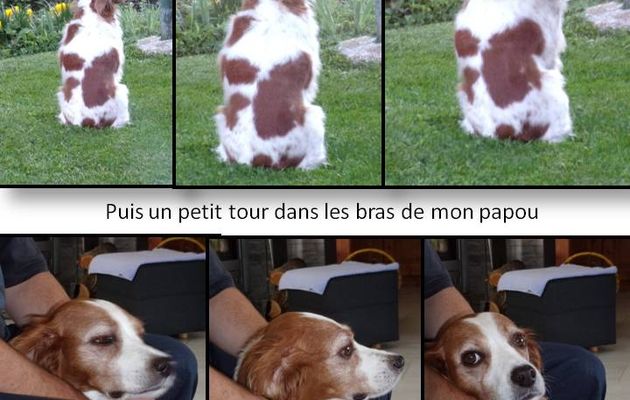 Une journée avec Emy 