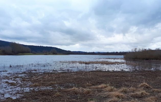 Le 22 décembre : L'étang aux loups