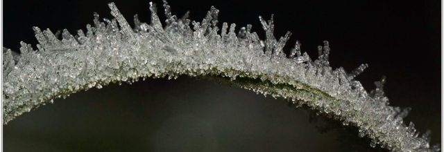 Givre (1)