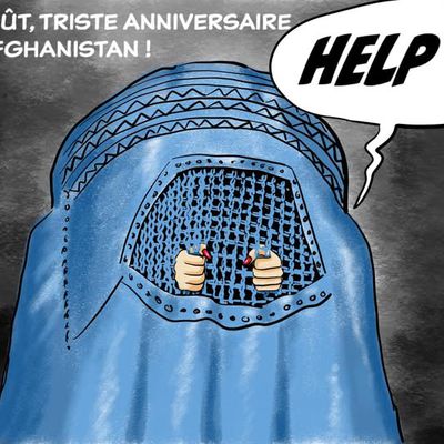 les dessinateurs pensent aux droits des femmes ...afghanes.