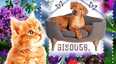 CADRE ANIMAUX FLEURS