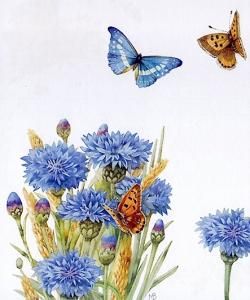 Objets détournés dans mes compositions florales (2/3)