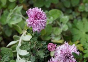 Et maintenant... suite