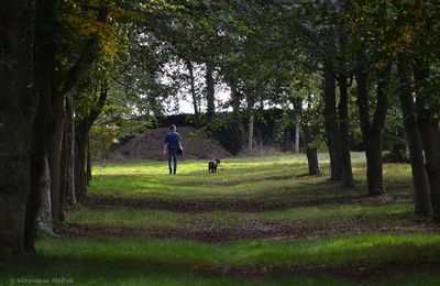 Rambouillet : La forêt domaniale