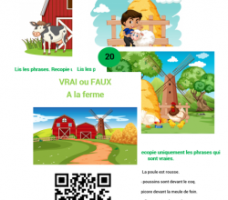 Vrai ou faux, A la ferme.
