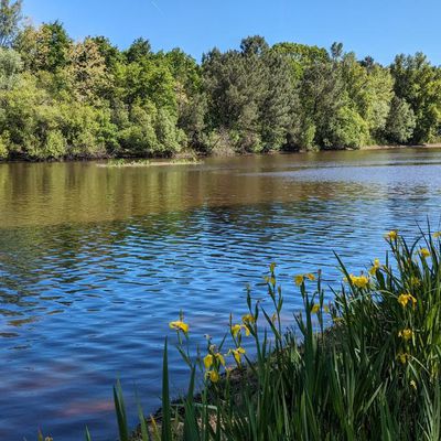 Défi reflets N° 12 / 2024