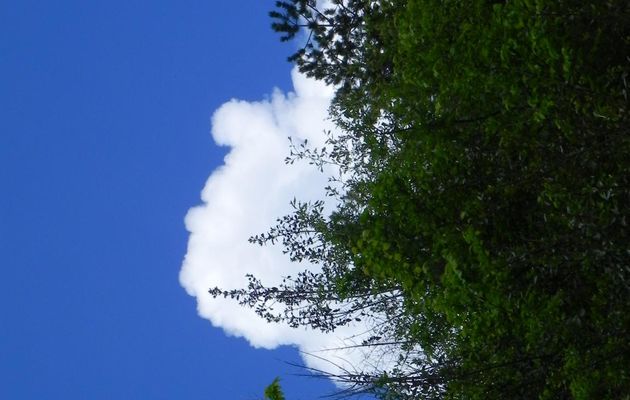 mon nuage qui veut vous parler 