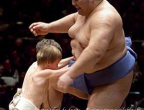Le sumo et ses élèves