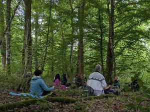 Stage immersif &quot;Yoga et méditation&quot; en Meuse