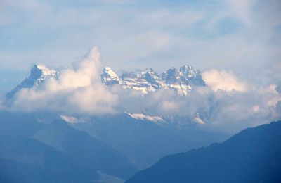 La montagne SUISSE en été