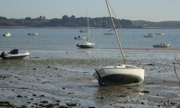 Marée basse à la point de Mesquer-Merquel