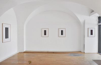 DANIEL LEVY EXPOSITION FROM POINT TO POINT GALERIE