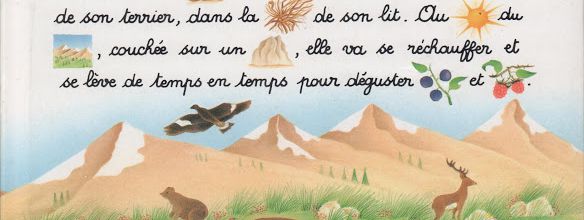 Je lis avec les animaux de la montagne