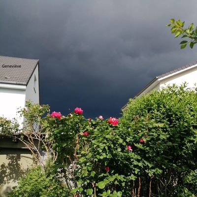 Noir, c'est noir...