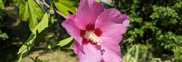 photos plaisir en Juillet 