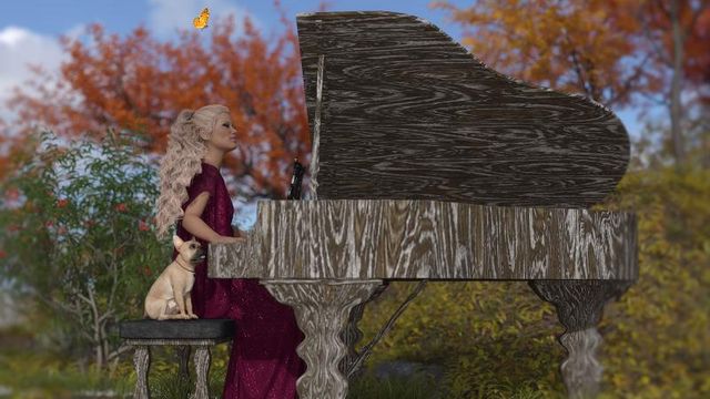 Fond d'écran : Quelques notes de musique en plein air