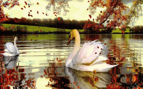 Sur l'eau !