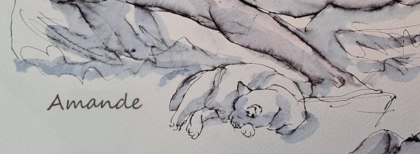Vendredi - Trois poses et le chat