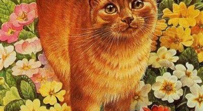 Tableau du samedi : Chat ivoire de Lesley Anne 