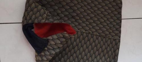 Manteau pour transformer un chien en dragon