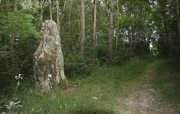 CIRCUIT DU MENHIR DE SAINTE-FLODOBERTHE (Seine-et-Marne - 77)
